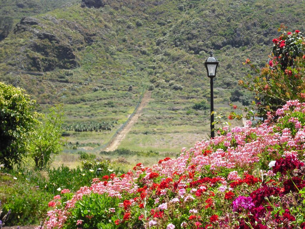 Apartment El Picacho In The Countryside 2 Km From The Tejina