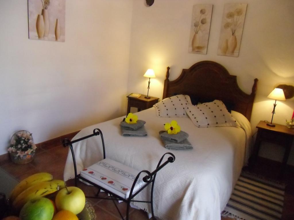 El Picacho In The Countryside 2 Km From The Apartment Tejina