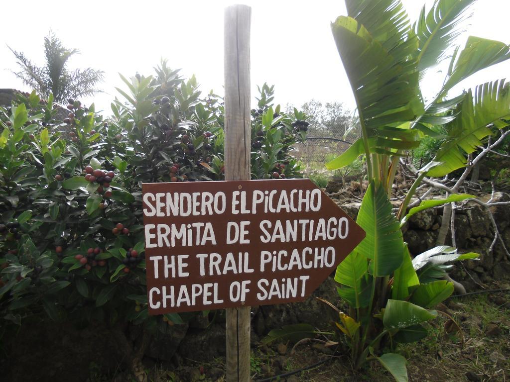 El Picacho In The Countryside 2 Km From The Apartment Tejina