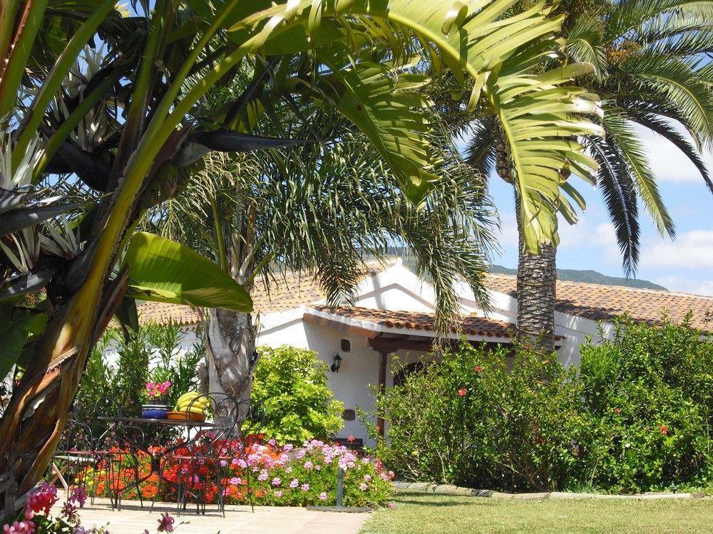 Apartment El Picacho In The Countryside 2 Km From The Tejina