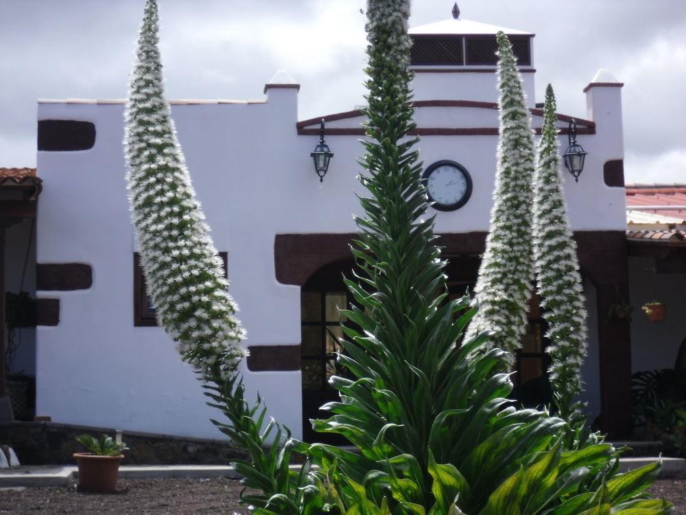 Apartment El Picacho In The Countryside 2 Km From The