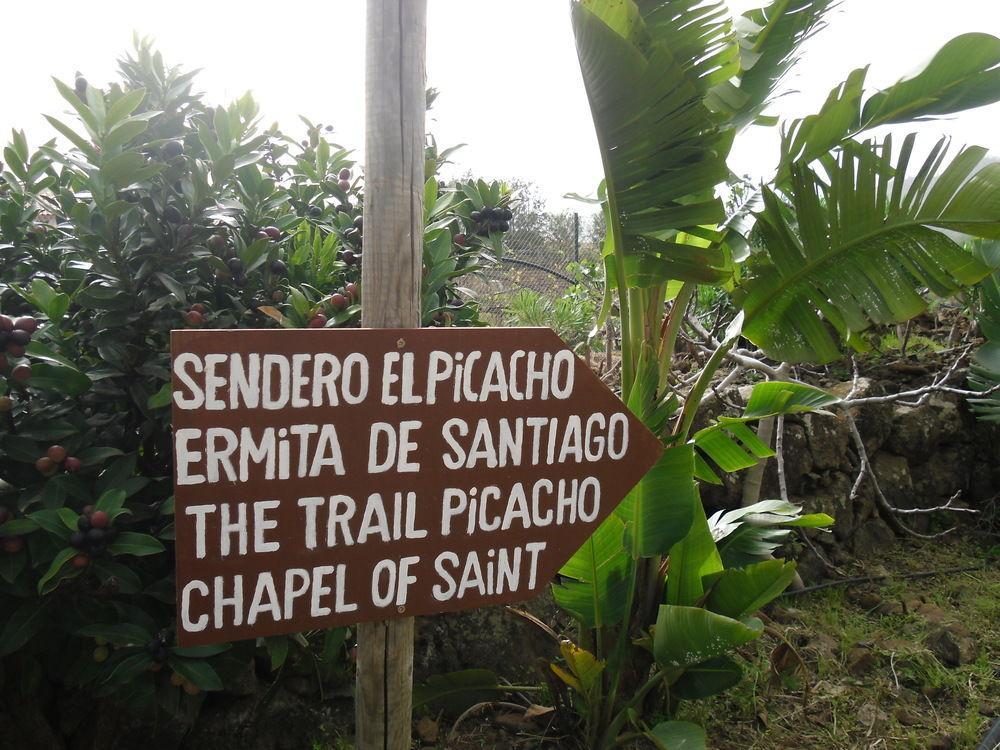 El Picacho In The Countryside 2 Km From The Apartment *