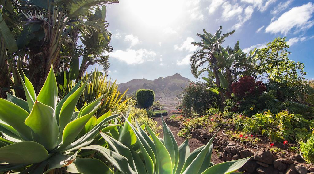 Apartment El Picacho In The Countryside 2 Km From The